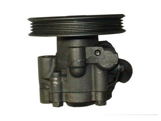 Pompe de direction assistée (Servo direction) GKN ref. 53819