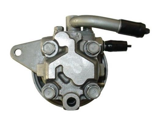 Pompe de direction assistée (Servo direction) GKN ref. 53823