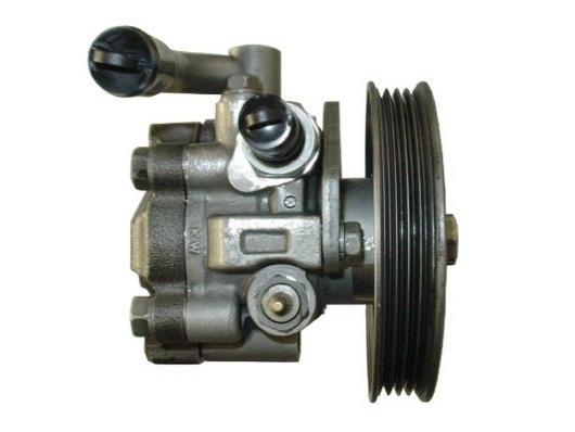 Pompe de direction assistée (Servo direction) GKN ref. 53823