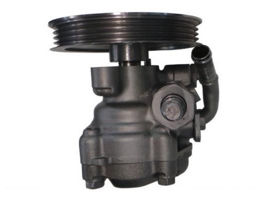 Pompe de direction assistée (Servo direction) GKN ref. 53838