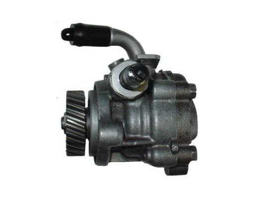 Pompe de direction assistée (Servo direction) GKN 53839