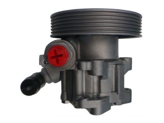 Pompe de direction assistée (Servo direction) GKN ref. 53854