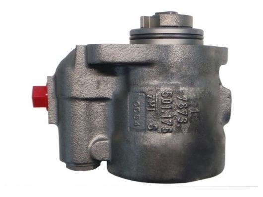 Pompe de direction assistée (Servo direction) GKN 53856
