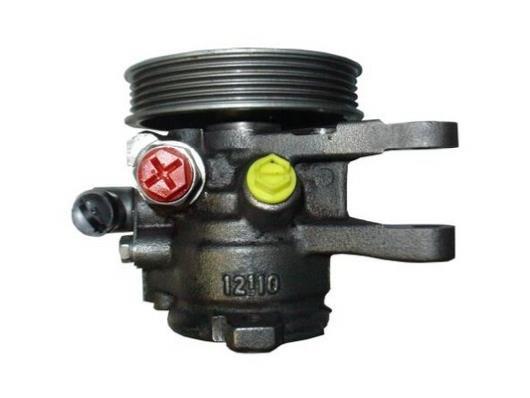 Pompe de direction assistée (Servo direction) GKN 53873