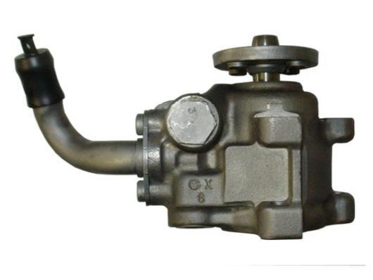 Pompe de direction assistée (Servo direction) GKN ref. 53875