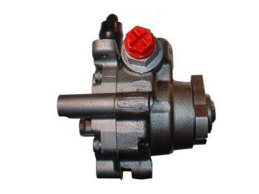 Pompe de direction assistée (Servo direction) GKN ref. 53877