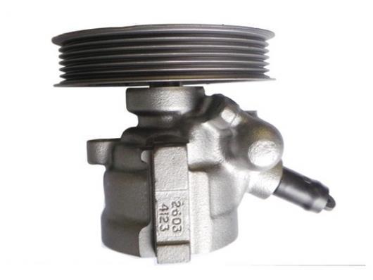 Pompe de direction assistée (Servo direction) GKN 53878