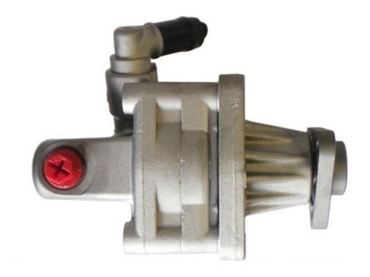 Pompe de direction assistée (Servo direction) GKN 53880