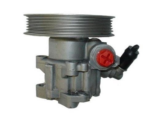 Pompe de direction assistée (Servo direction) GKN 53895