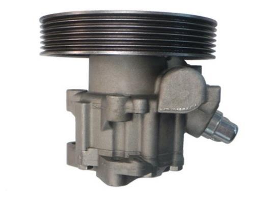 Pompe de direction assistée (Servo direction) GKN ref. 53899