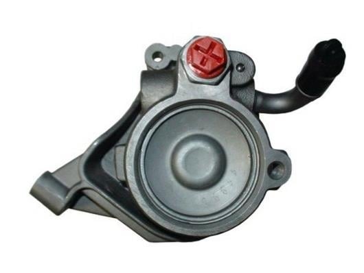 Bomba de direção assistida GKN 53900