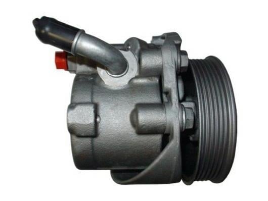 Bomba de direção assistida GKN 53900