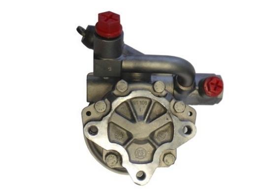Pompe de direction assistée (Servo direction) GKN 53903