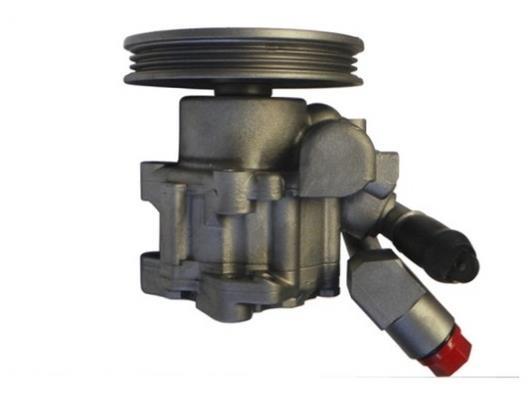 Pompe de direction assistée (Servo direction) GKN 53903