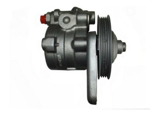 Pompe de direction assistée (Servo direction) GKN 53910