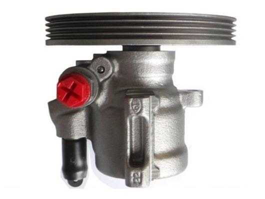 Pompe de direction assistée (Servo direction) GKN 53913