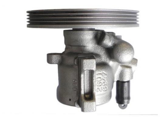 Pompe de direction assistée (Servo direction) GKN 53913