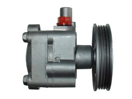 Pompe de direction assistée (Servo direction) GKN ref. 53914