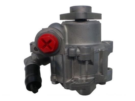 Pompe de direction assistée (Servo direction) GKN 53915