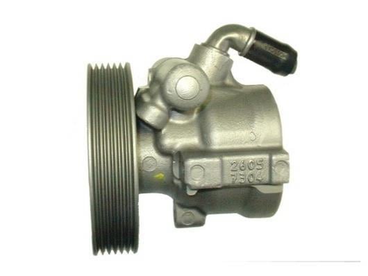 Pompe de direction assistée (Servo direction) GKN 53918