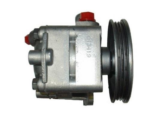 Pompe de direction assistée (Servo direction) GKN 53919