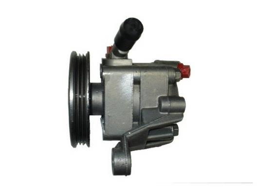 Pompe de direction assistée (Servo direction) GKN 53919