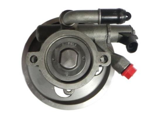 Pompe de direction assistée (Servo direction) GKN 53920