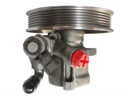 Pompe de direction assistée (Servo direction) GKN 53920