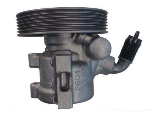 Pompe de direction assistée (Servo direction) GKN 53926