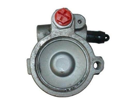 Pompe de direction assistée (Servo direction) GKN 53937