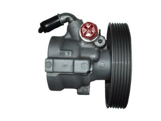 Pompe de direction assistée (Servo direction) GKN 53945