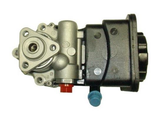 Pompe de direction assistée (Servo direction) GKN 53953