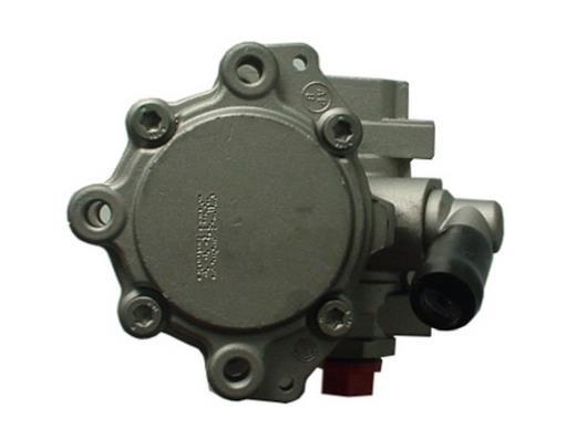Pompe de direction assistée (Servo direction) GKN ref. 53956