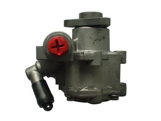 Pompe de direction assistée (Servo direction) GKN ref. 53956