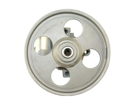 Pompe de direction assistée (Servo direction) GKN ref. 53958