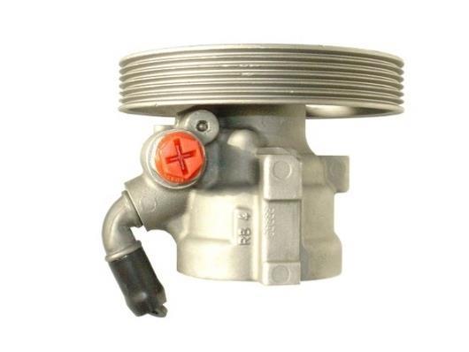 Pompe de direction assistée (Servo direction) GKN ref. 53958