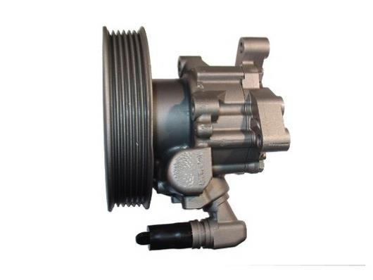 Pompe de direction assistée (Servo direction) GKN 53966