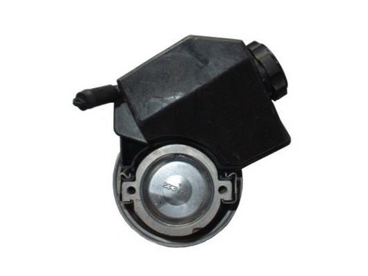 Pompe de direction assistée (Servo direction) GKN ref. 53972