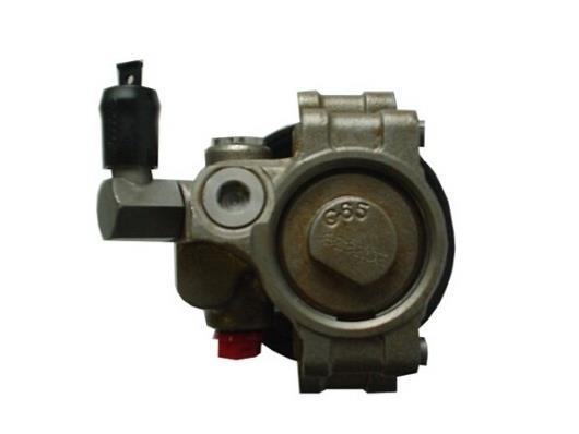 Pompe de direction assistée (Servo direction) GKN ref. 53979