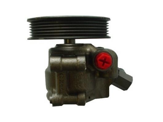Pompe de direction assistée (Servo direction) GKN ref. 53979