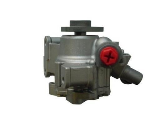 Pompe de direction assistée (Servo direction) GKN 53982
