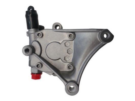 Pompe de direction assistée (Servo direction) GKN ref. 53987