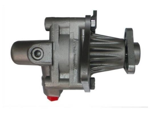 Pompe de direction assistée (Servo direction) GKN ref. 54021