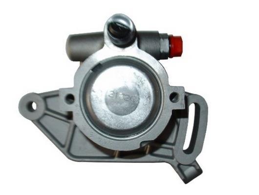 Bomba de direção assistida GKN 54038