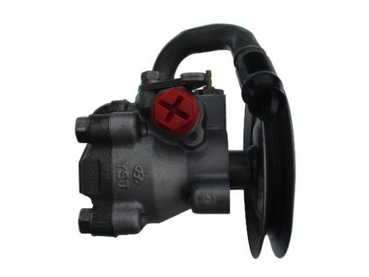 Bomba de direção assistida GKN ref. 54055