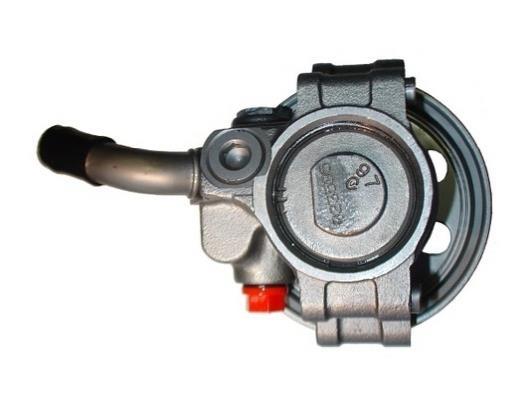 Pompe de direction assistée (Servo direction) GKN ref. 54061