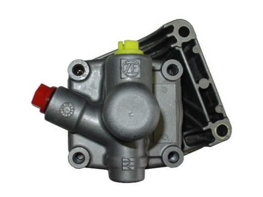 Pompe de direction assistée (Servo direction) GKN 54075