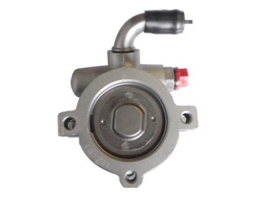Pompe de direction assistée (Servo direction) GKN ref. 54101