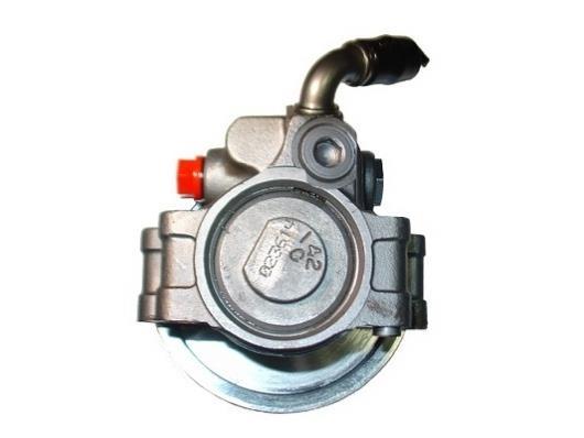Pompe de direction assistée (Servo direction) GKN 54139