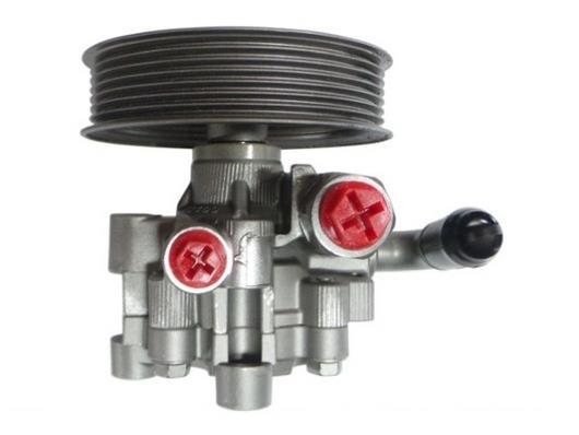 Bomba de direção assistida GKN 54166